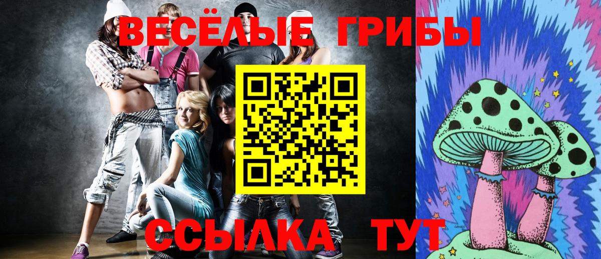 Галлюциногенные грибы Psilocybine cubensis Торжок
