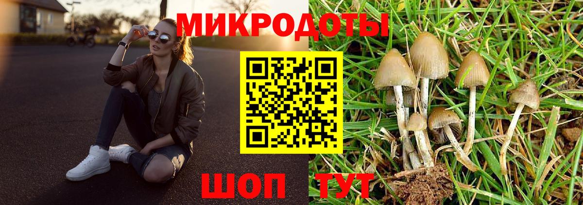 Торжок  Псилоцибиновые грибы GOLDEN TEACHER  Псилоцибиновые грибы GOLDEN TEACHER  наркошоп  Вход с VPN 